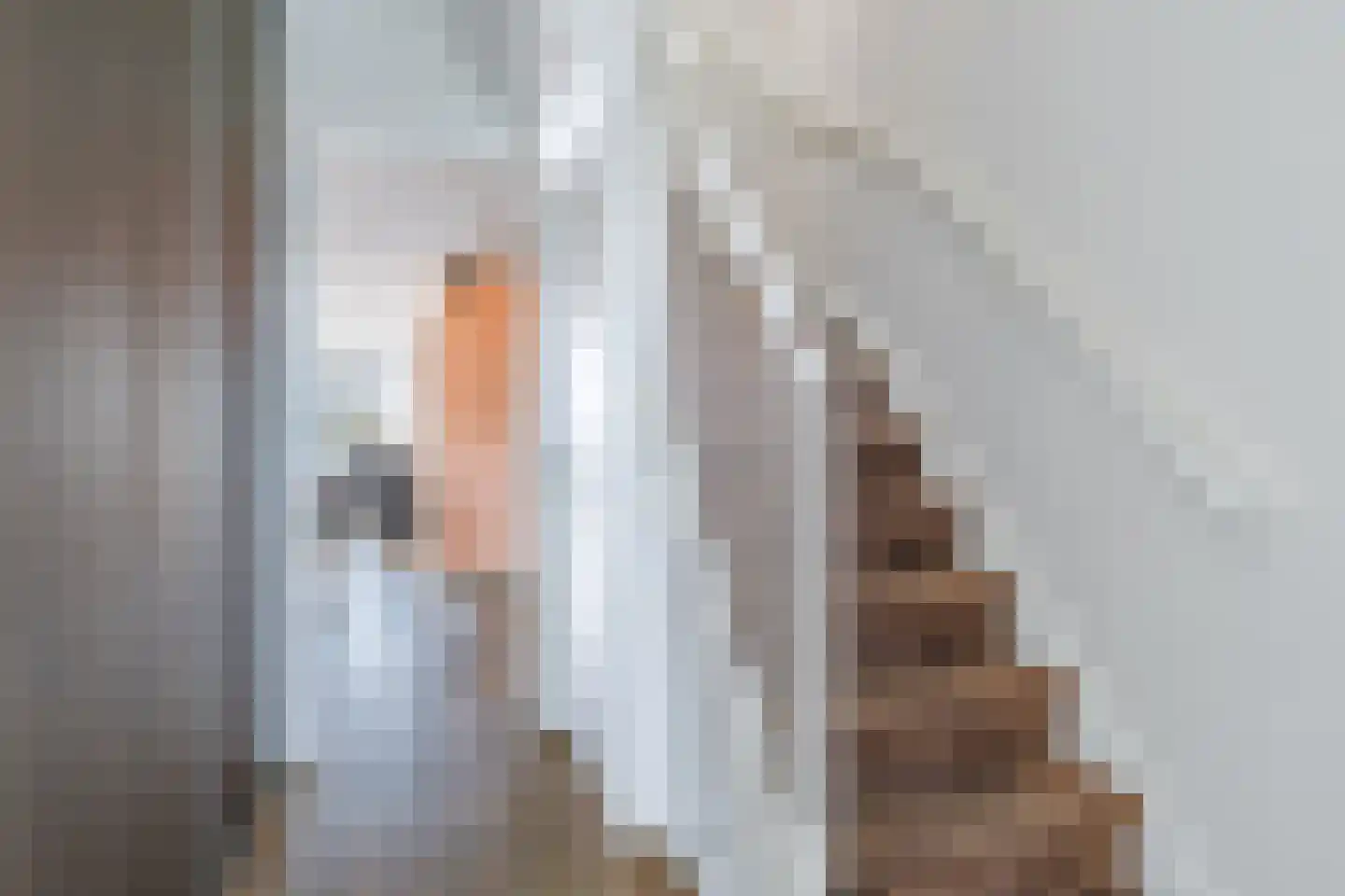 de Woarven 33 Westergeast thumbnail 8