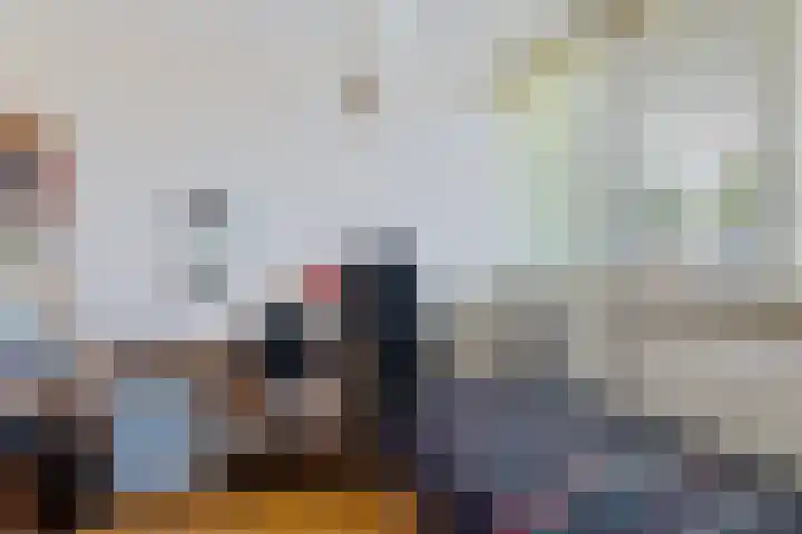De Woerd 1 Emmen thumbnail 14