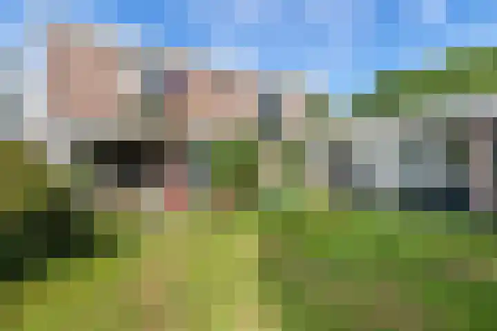 De Woerd 1 Emmen foto 2