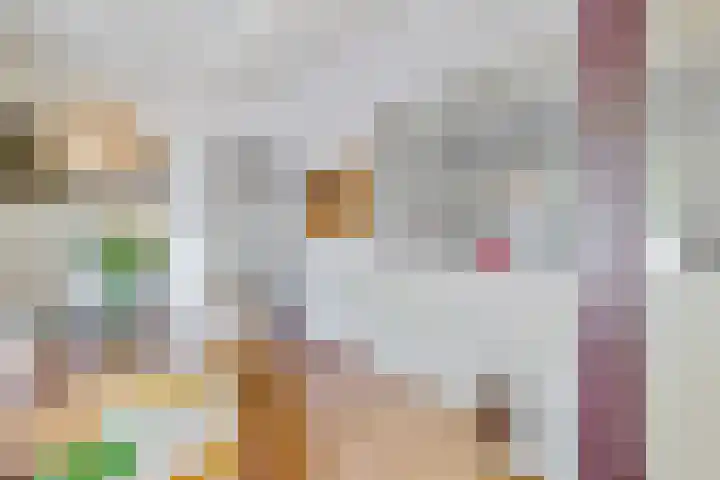 De Woerd 1 Emmen thumbnail 23