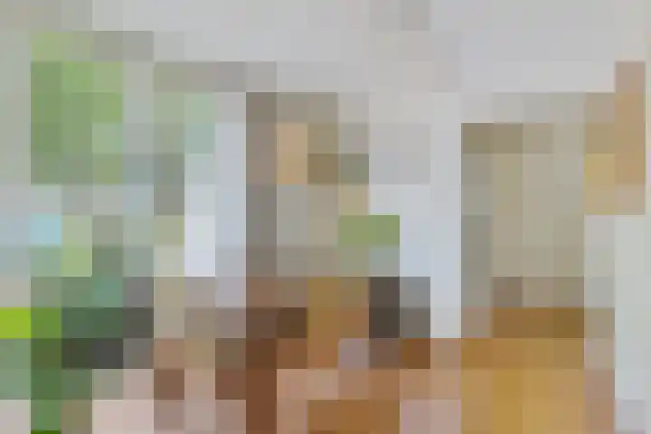 De Woerd 1 Emmen thumbnail 25