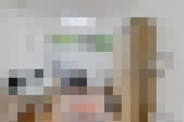 De Woerd 1 Emmen thumbnail 27