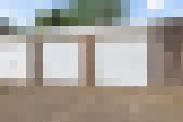 De Woerd 1 Emmen thumbnail 32