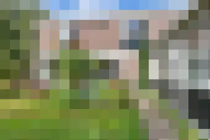 De Woerd 1 Emmen thumbnail 33