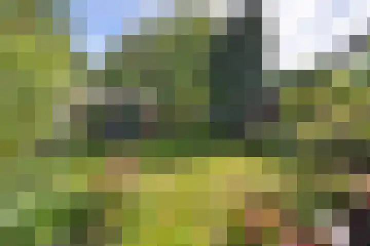 De Woerd 1 Emmen thumbnail 34