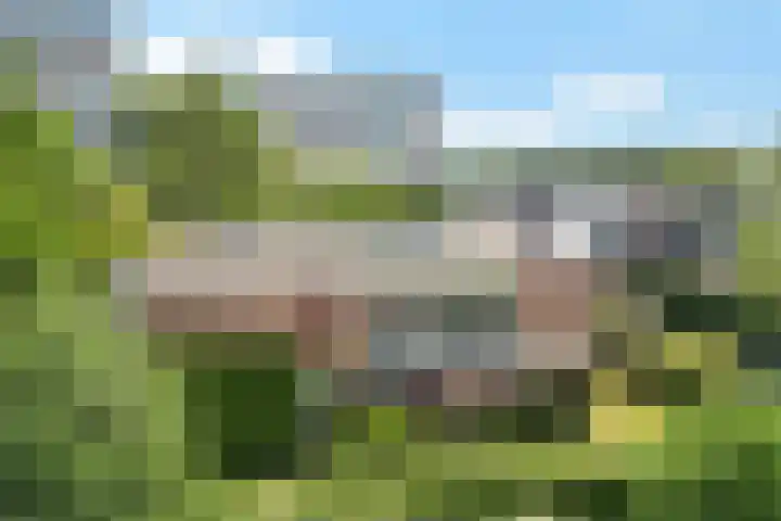 De Woerd 1 Emmen thumbnail 35