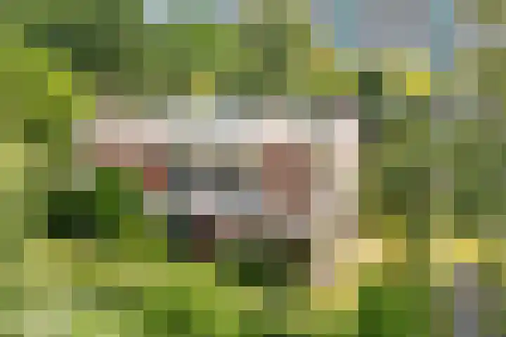 De Woerd 1 Emmen thumbnail 36