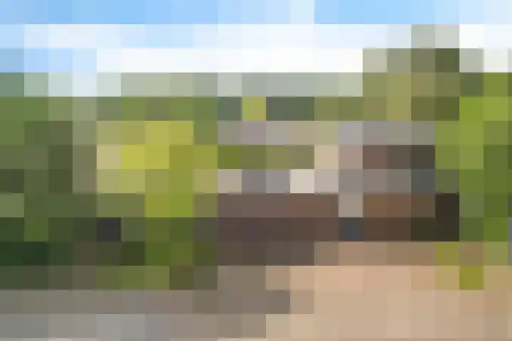 De Woerd 1 Emmen thumbnail 37