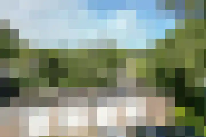 De Woerd 1 Emmen thumbnail 38