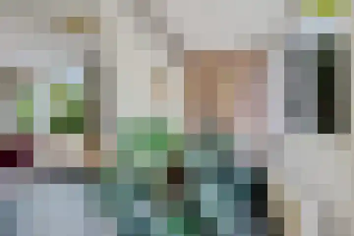De Woerd 1 Emmen thumbnail 6