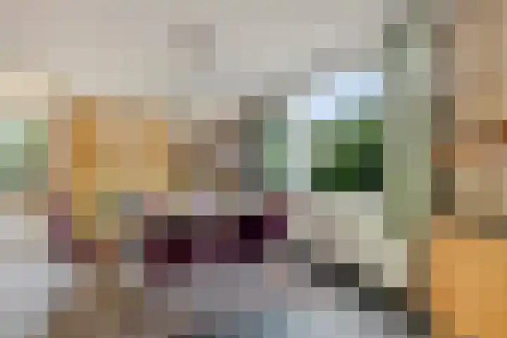 De Woerd 1 Emmen thumbnail 7