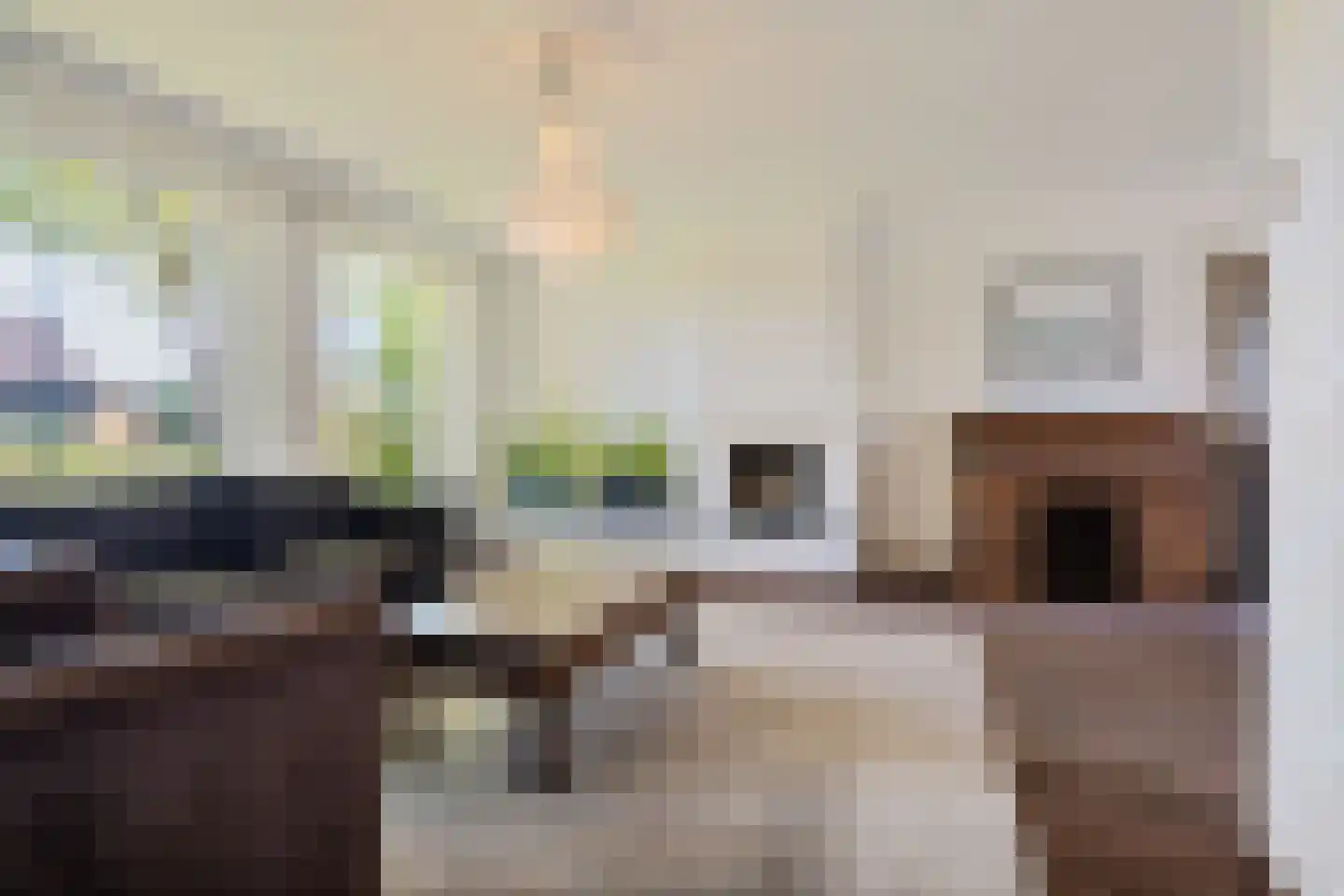 De Woerd 10 Lith thumbnail 10