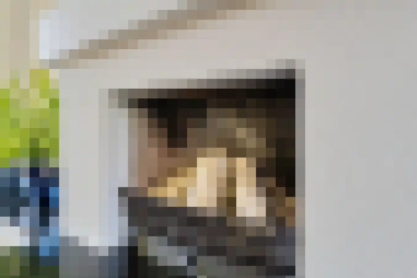 De Woerd 10 Lith thumbnail 11