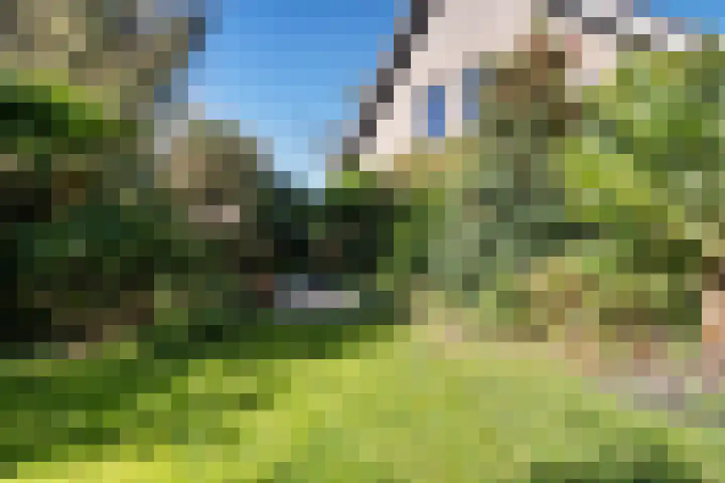 De Woerd 10 Lith thumbnail 50
