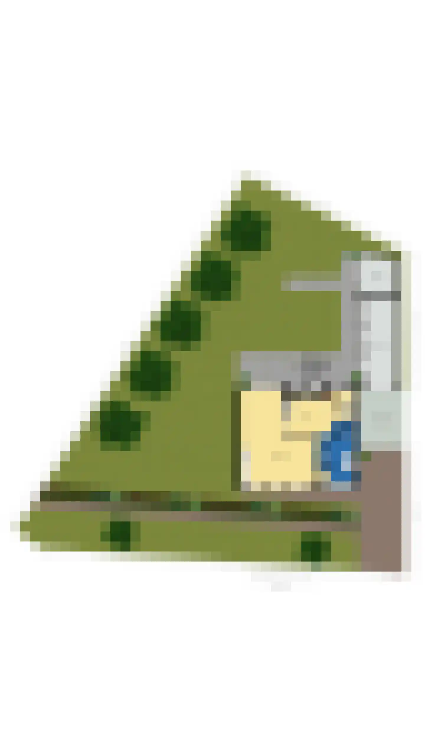 De Woerd 10 Lith thumbnail 56