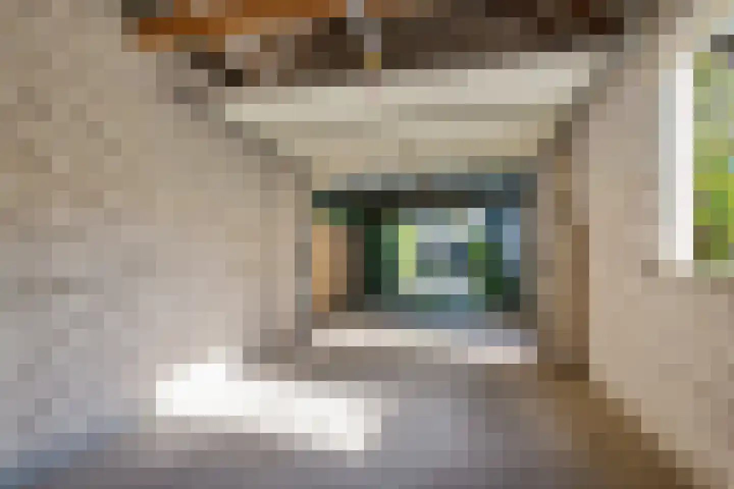 De Woerd 10 Lith thumbnail 6