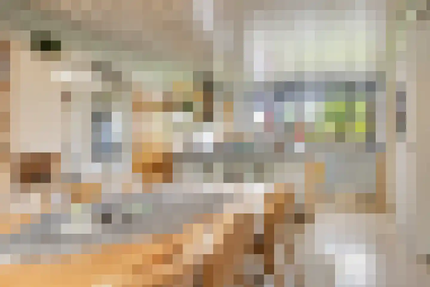 De Woerd 23 Emmen thumbnail 13