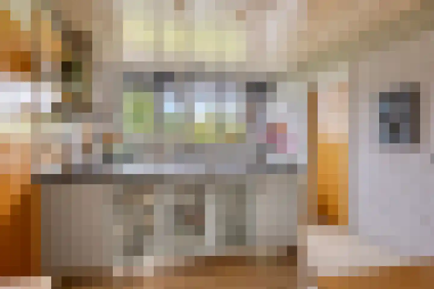 De Woerd 23 Emmen thumbnail 18