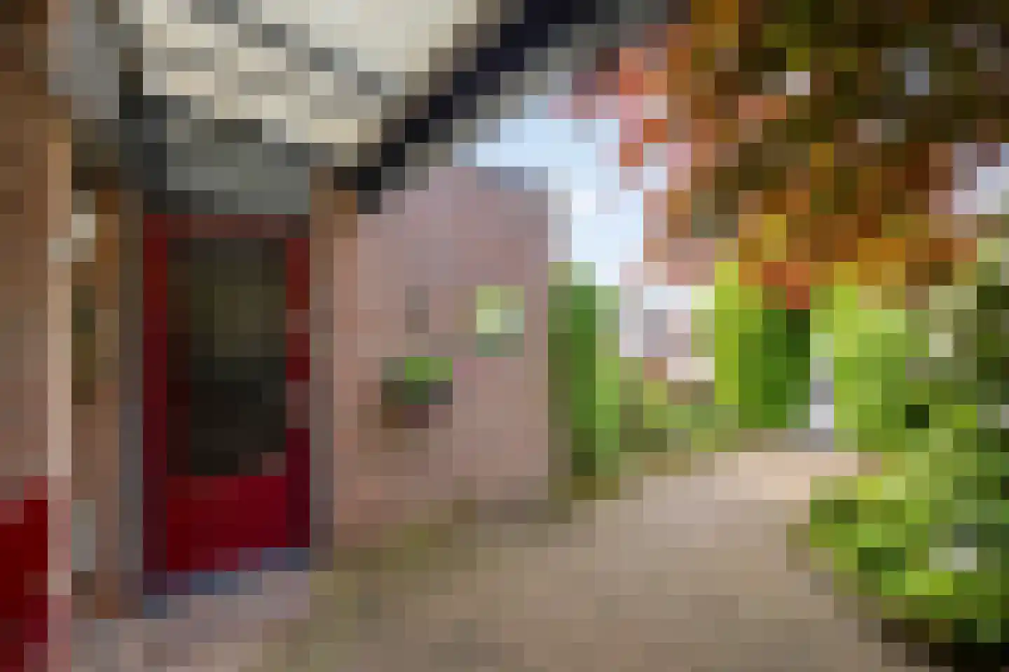 De Woerd 23 Emmen thumbnail 32