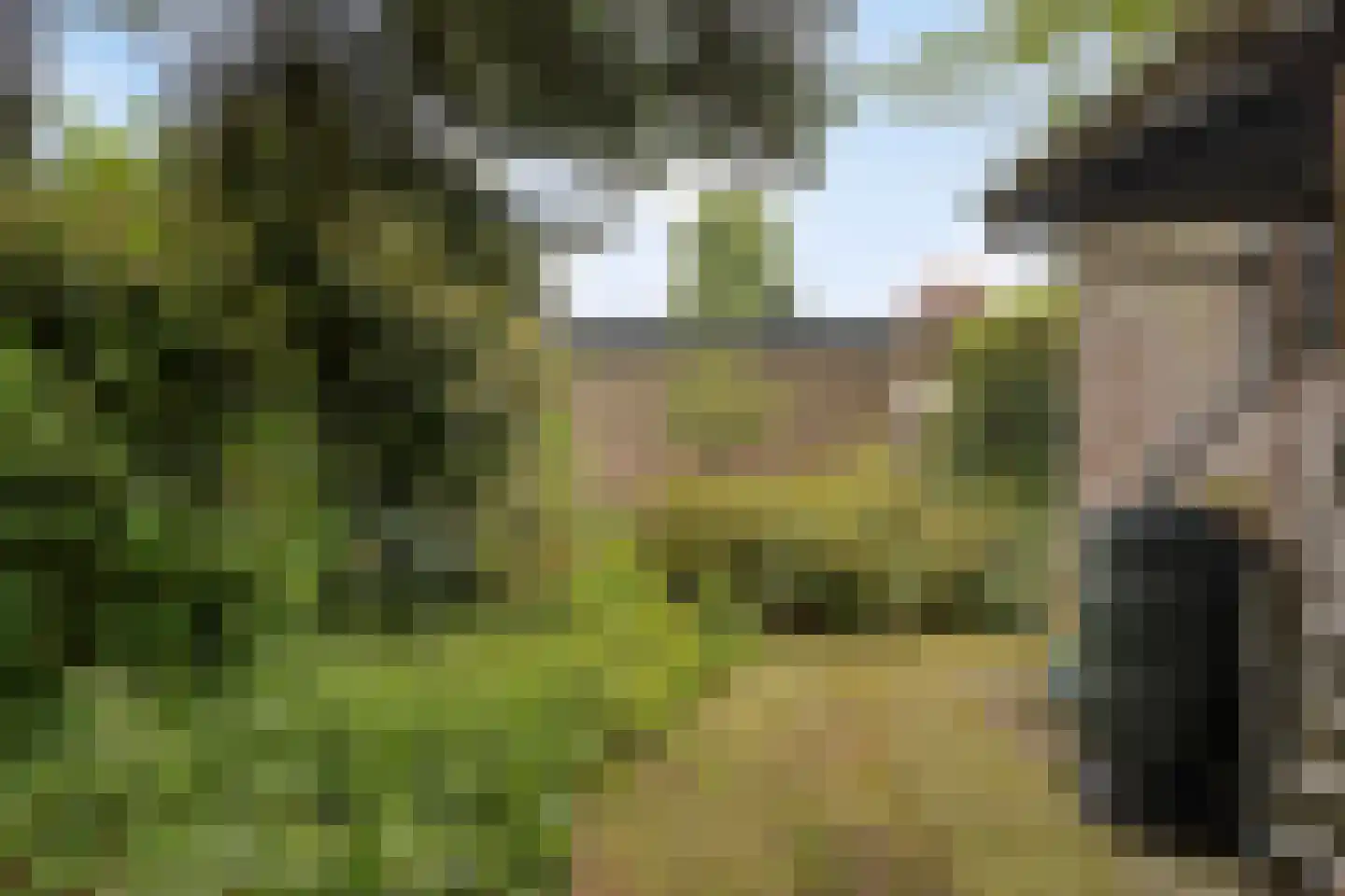 De Woerd 23 Emmen thumbnail 33