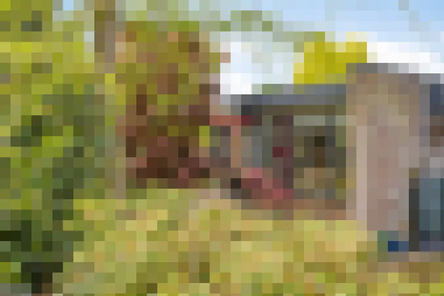De Woerd 23 Emmen thumbnail 34