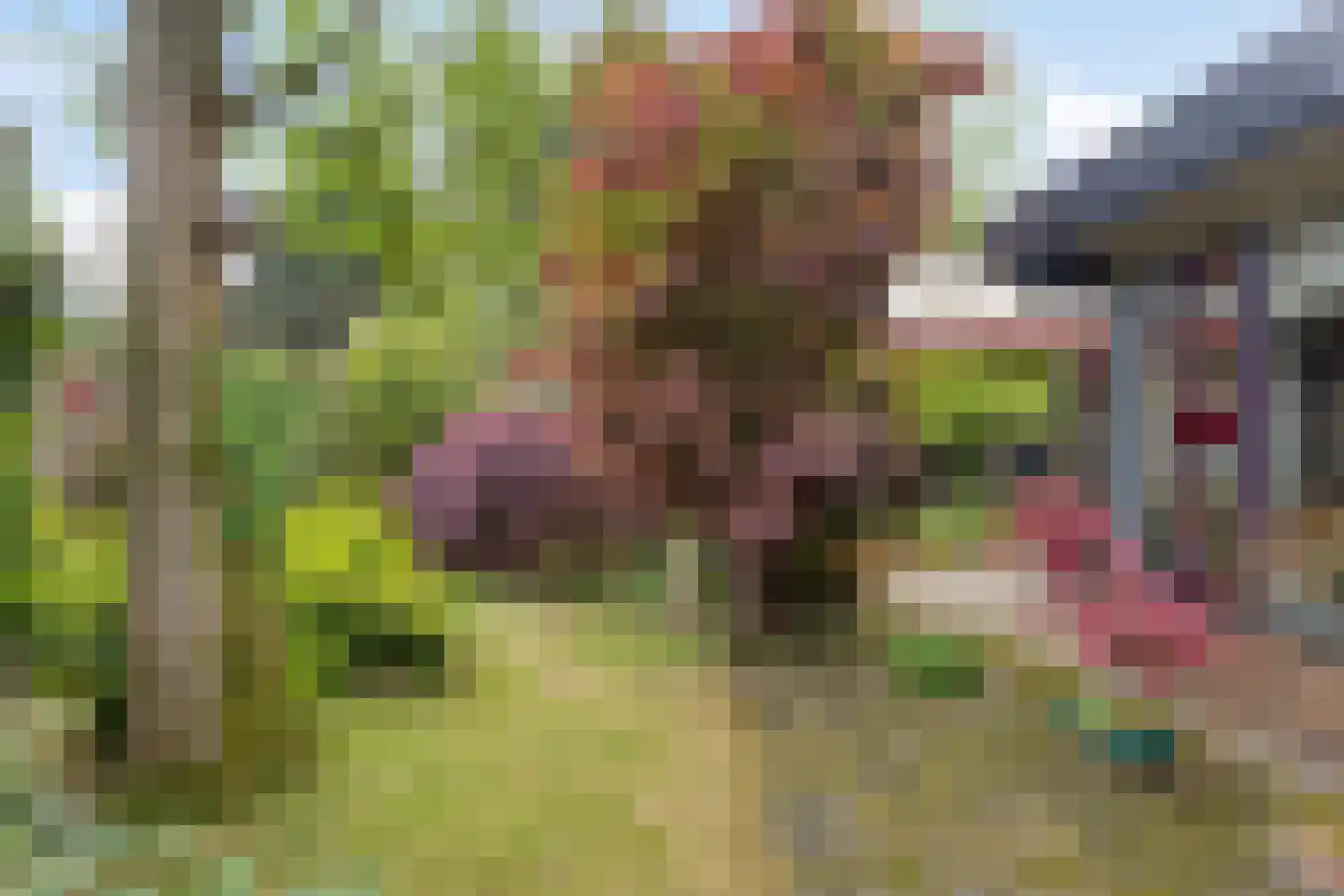 De Woerd 23 Emmen thumbnail 35