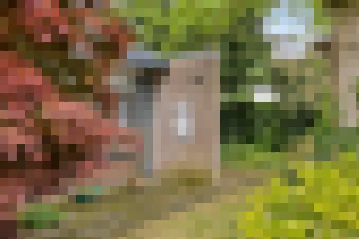 De Woerd 23 Emmen thumbnail 36