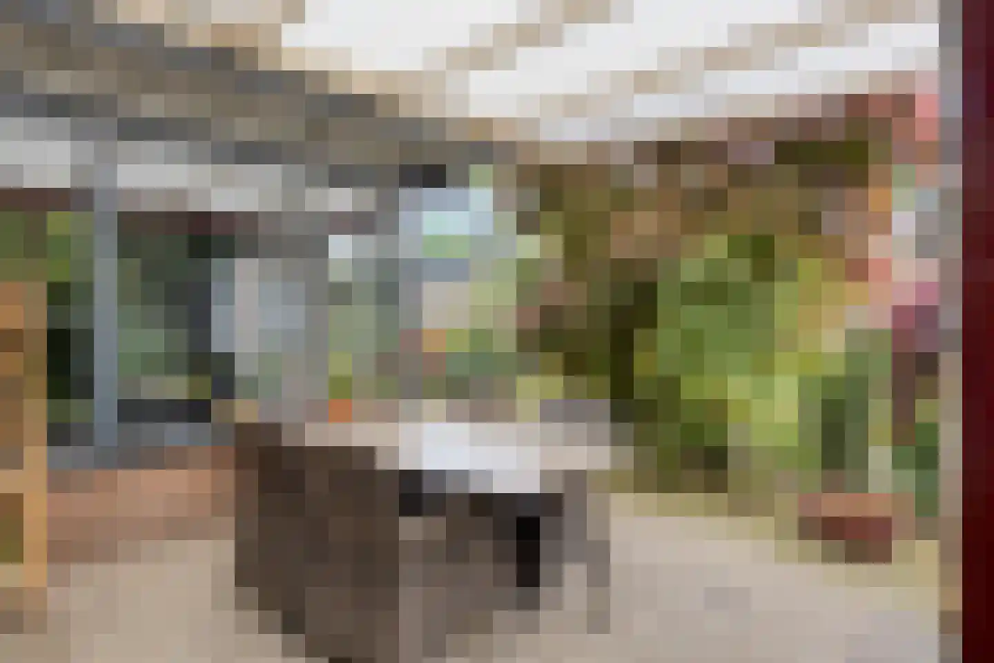 De Woerd 23 Emmen thumbnail 38