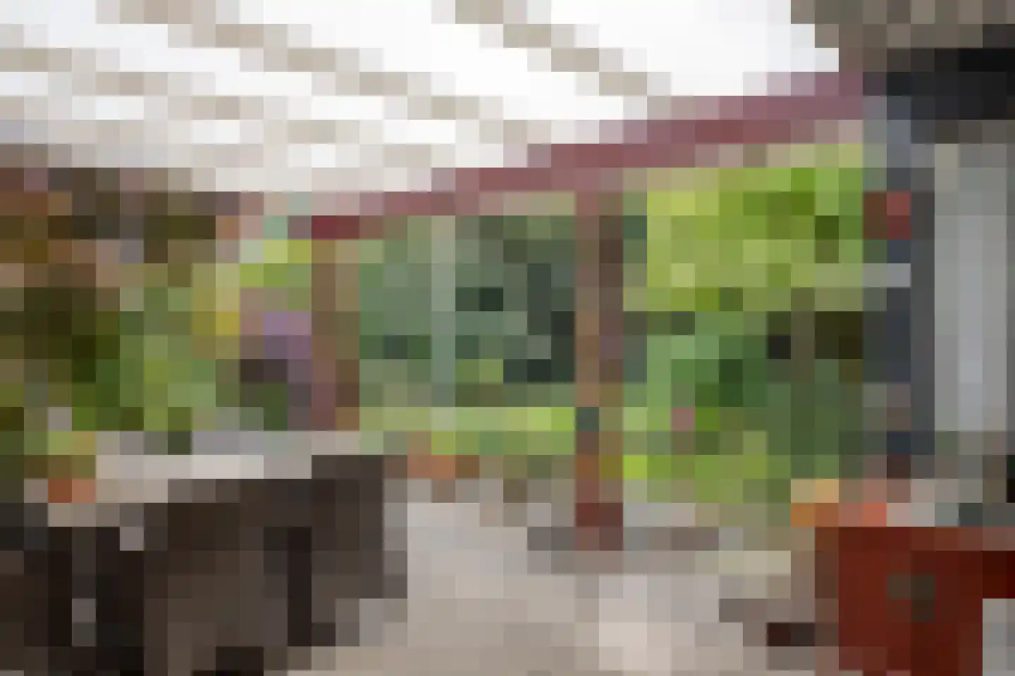 De Woerd 23 Emmen thumbnail 40