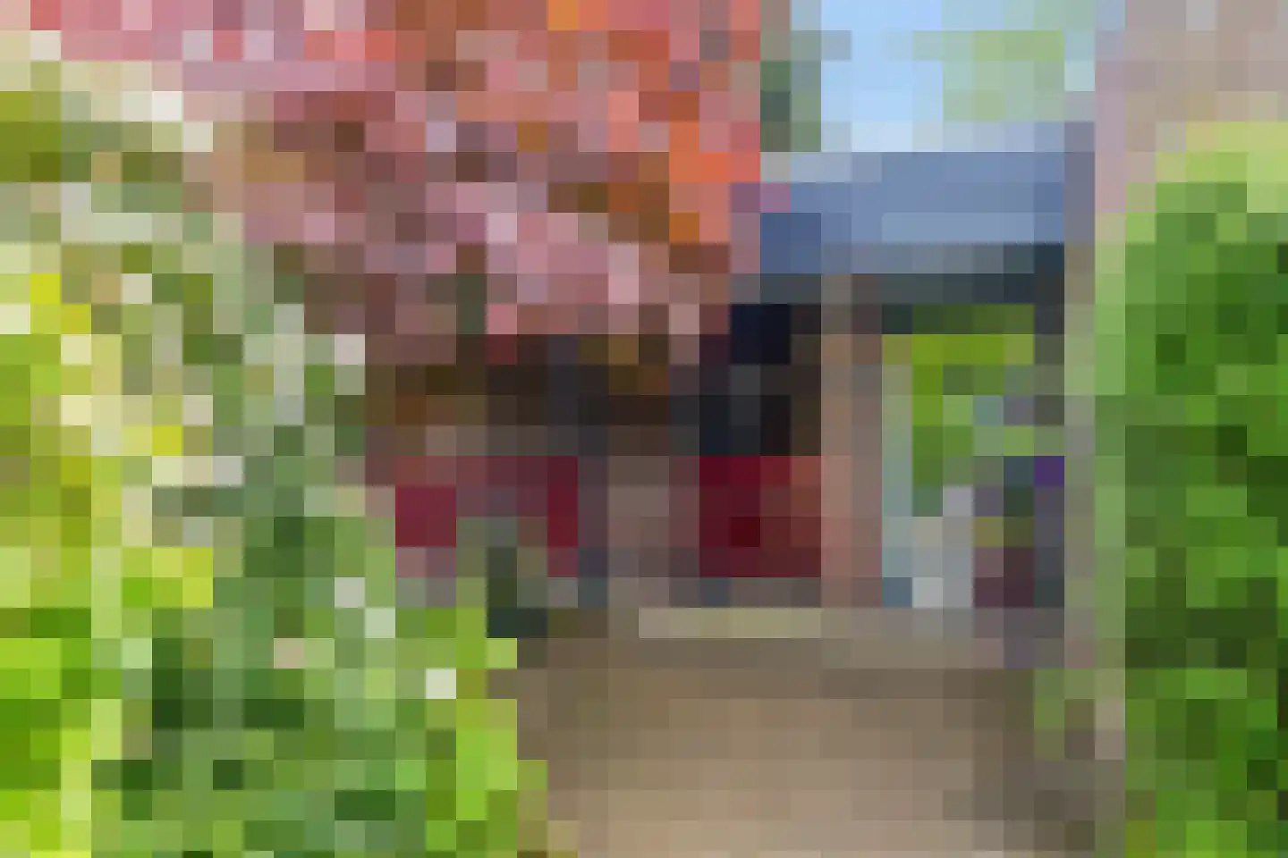 De Woerd 23 Emmen thumbnail 47
