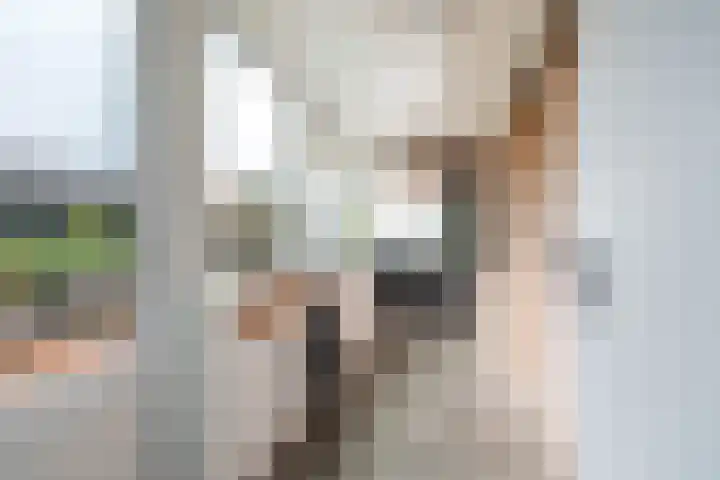 De Woerd 33 Dinxperlo thumbnail 19