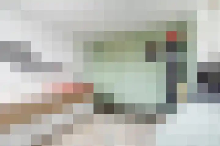 De Woerd 33 Dinxperlo thumbnail 26