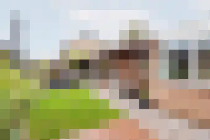 De Woerd 33 Dinxperlo thumbnail 35