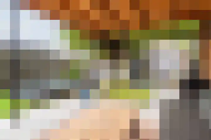 De Woerd 33 Dinxperlo thumbnail 38