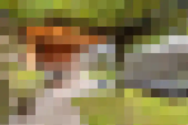 De Woerd 33 Dinxperlo thumbnail 39
