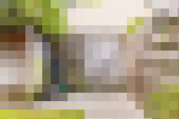 De Woerd 33 Dinxperlo thumbnail 41