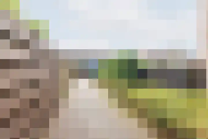 De Woerd 33 Dinxperlo thumbnail 42