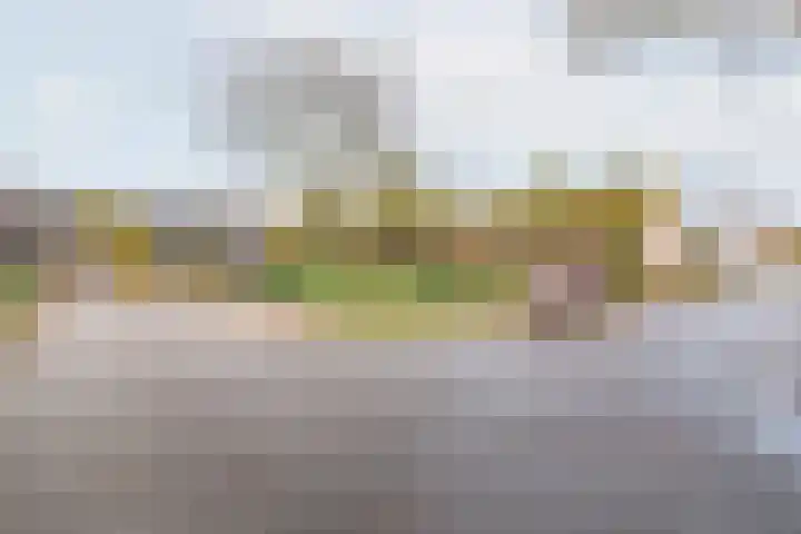 De Woerd 33 Dinxperlo thumbnail 43