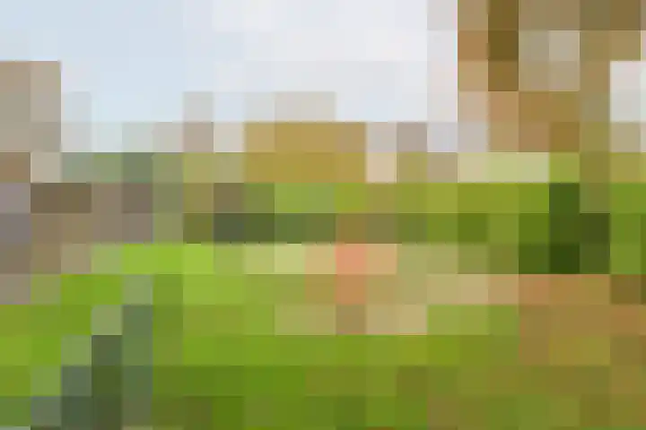 De Woerd 33 Dinxperlo thumbnail 44