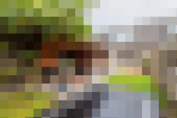 De Woerd 33 Dinxperlo thumbnail 5