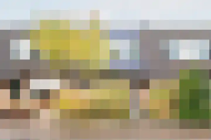 De Woerd 33 Dinxperlo thumbnail 6
