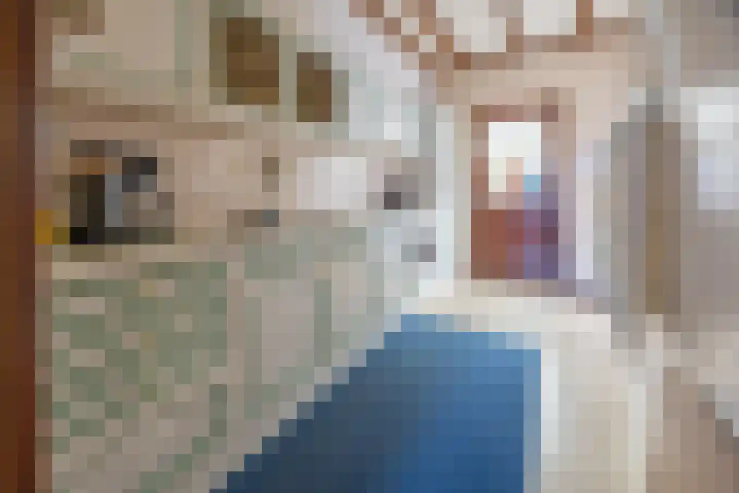 de Woerd 4 's-Hertogenbosch thumbnail 10