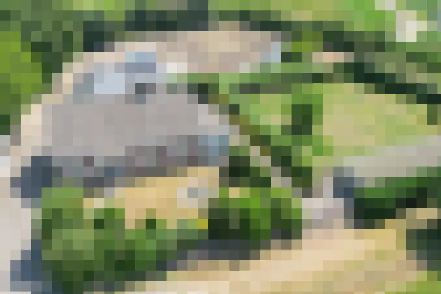 de Woerd 4 's-Hertogenbosch thumbnail 16