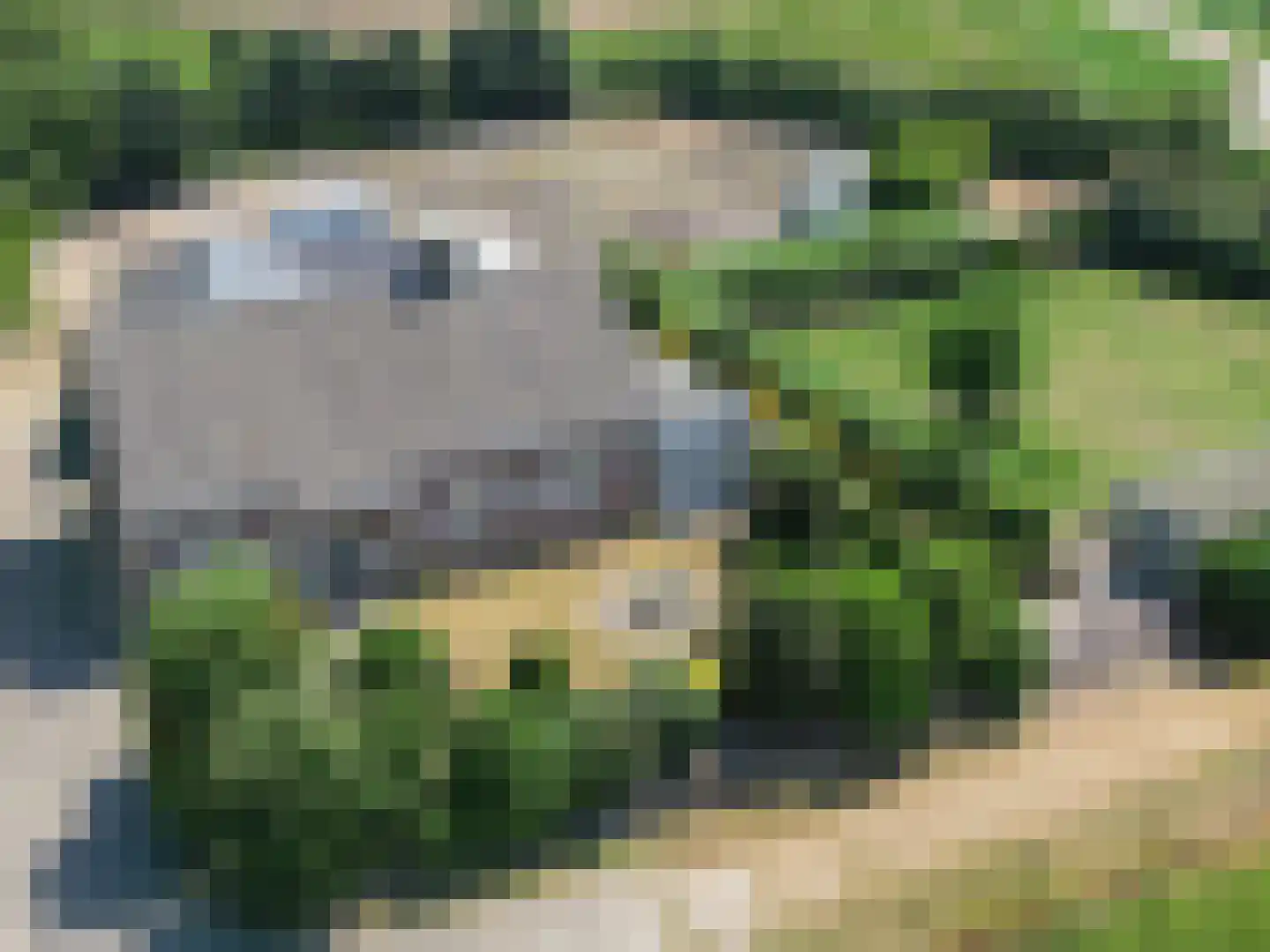 de Woerd 4 's-Hertogenbosch thumbnail 17