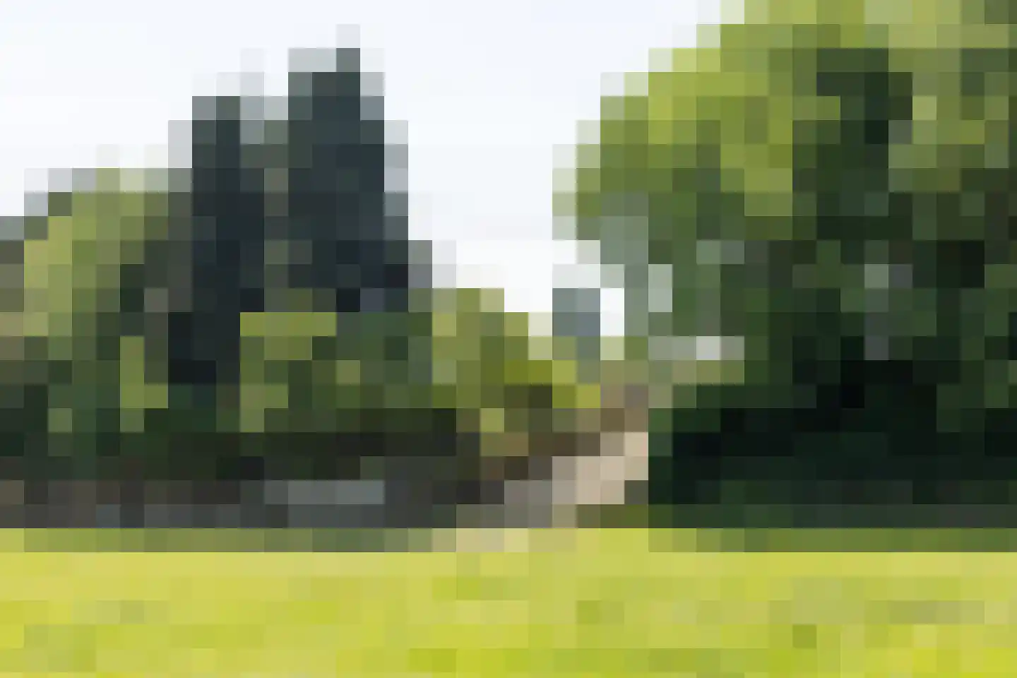 de Woerd 4 's-Hertogenbosch thumbnail 21