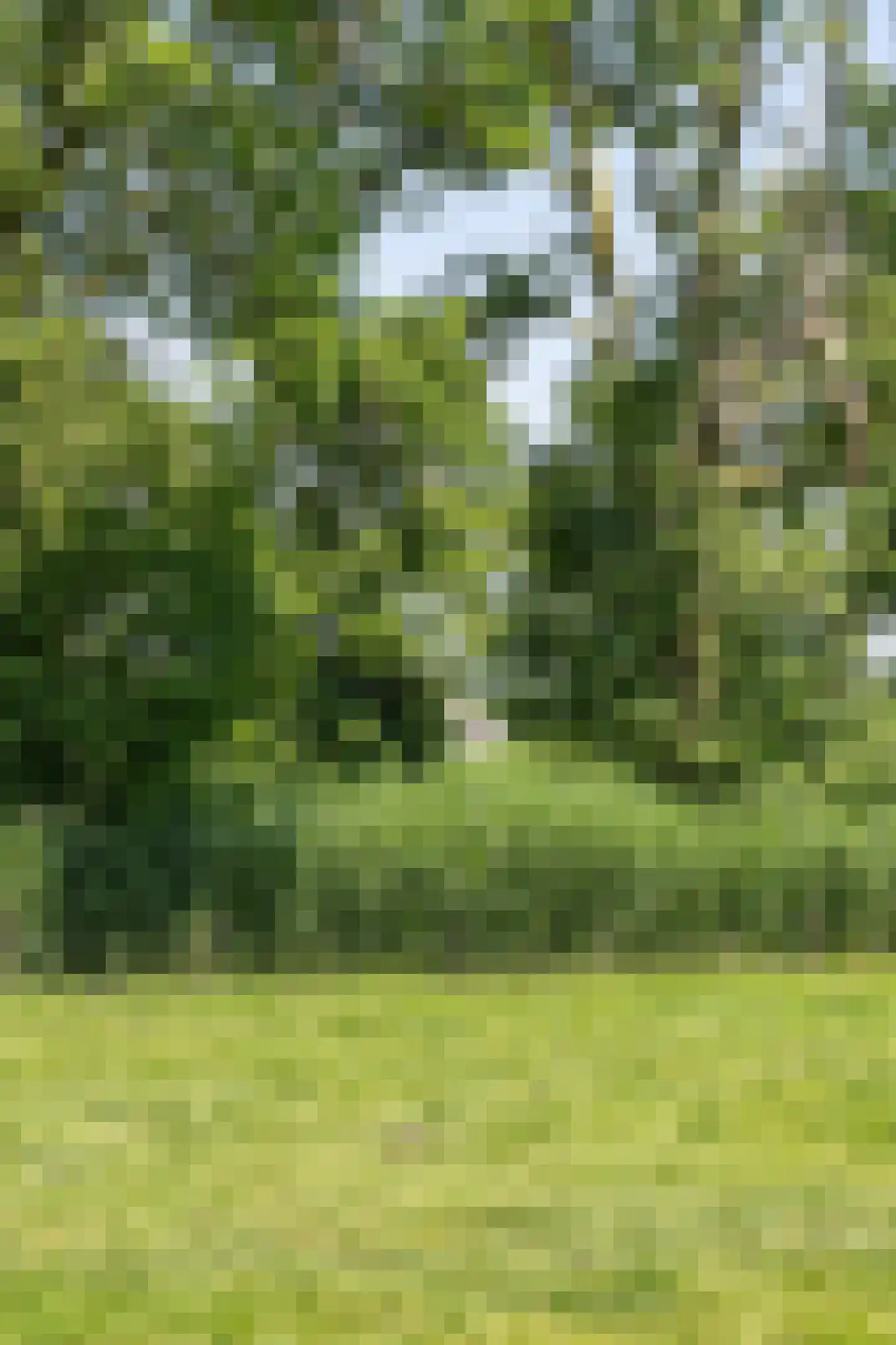de Woerd 4 's-Hertogenbosch thumbnail 22