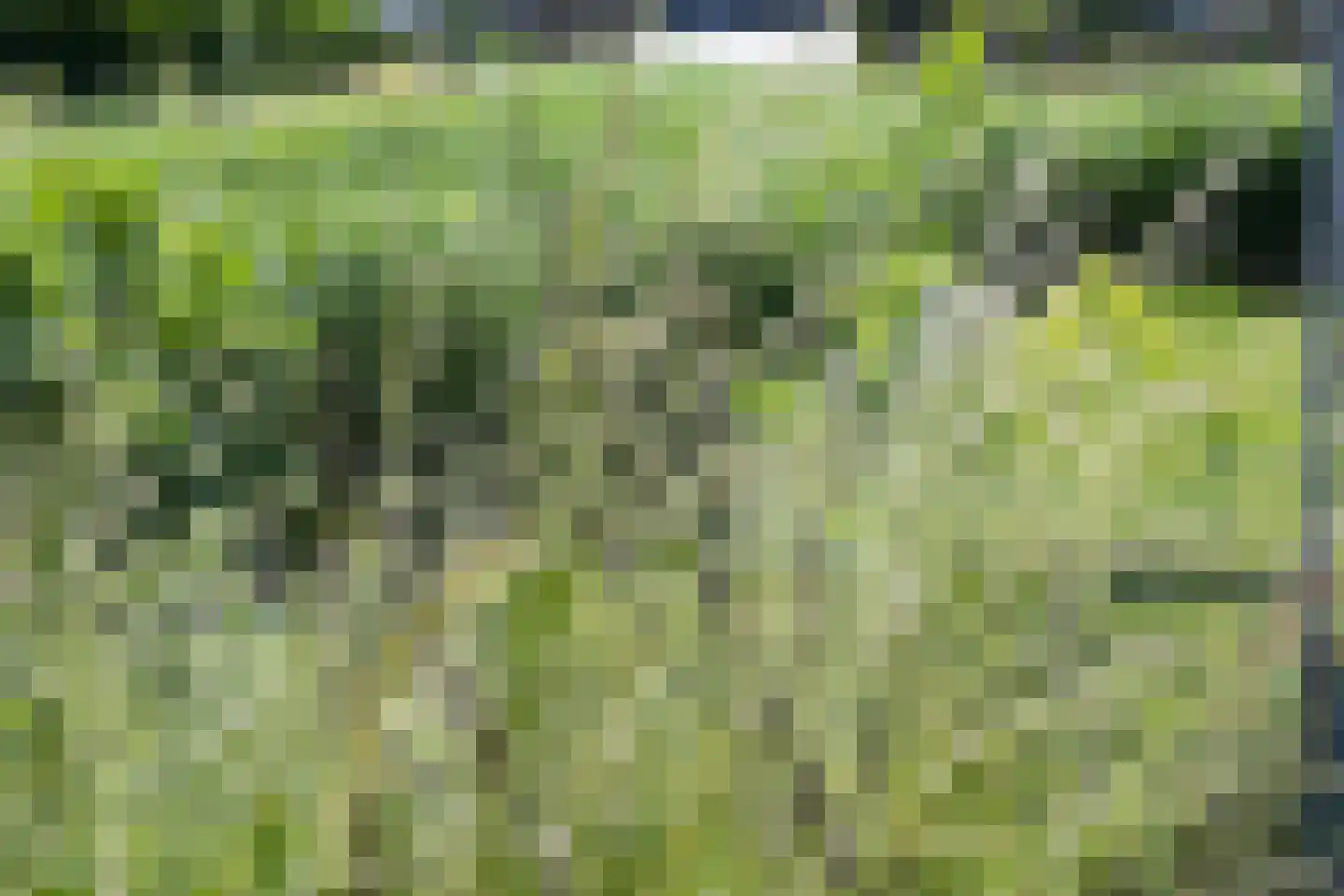 de Woerd 4 's-Hertogenbosch thumbnail 23