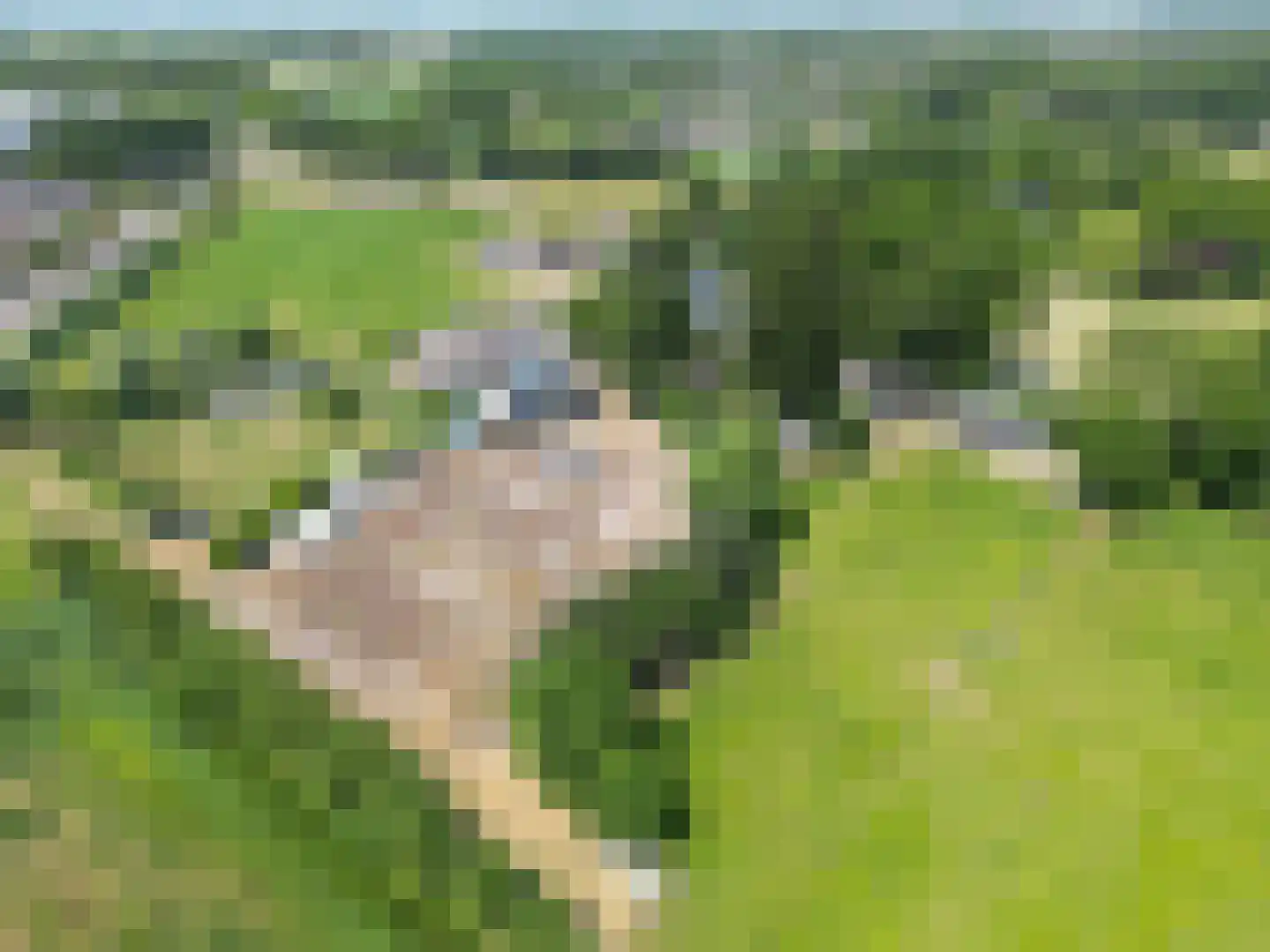 de Woerd 4 's-Hertogenbosch thumbnail 24