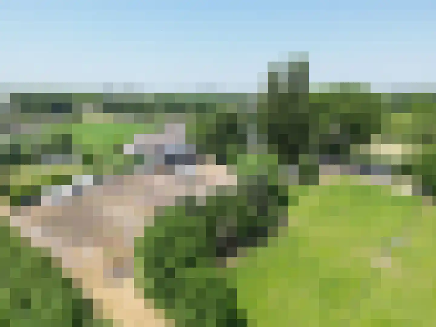 de Woerd 4 's-Hertogenbosch thumbnail 25