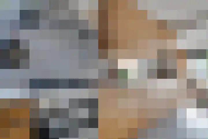 De Woert 16 Hijken thumbnail 11